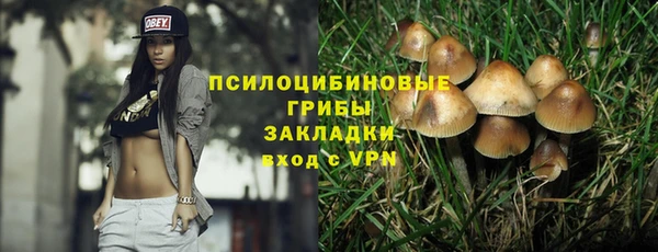 МДПВ Аркадак